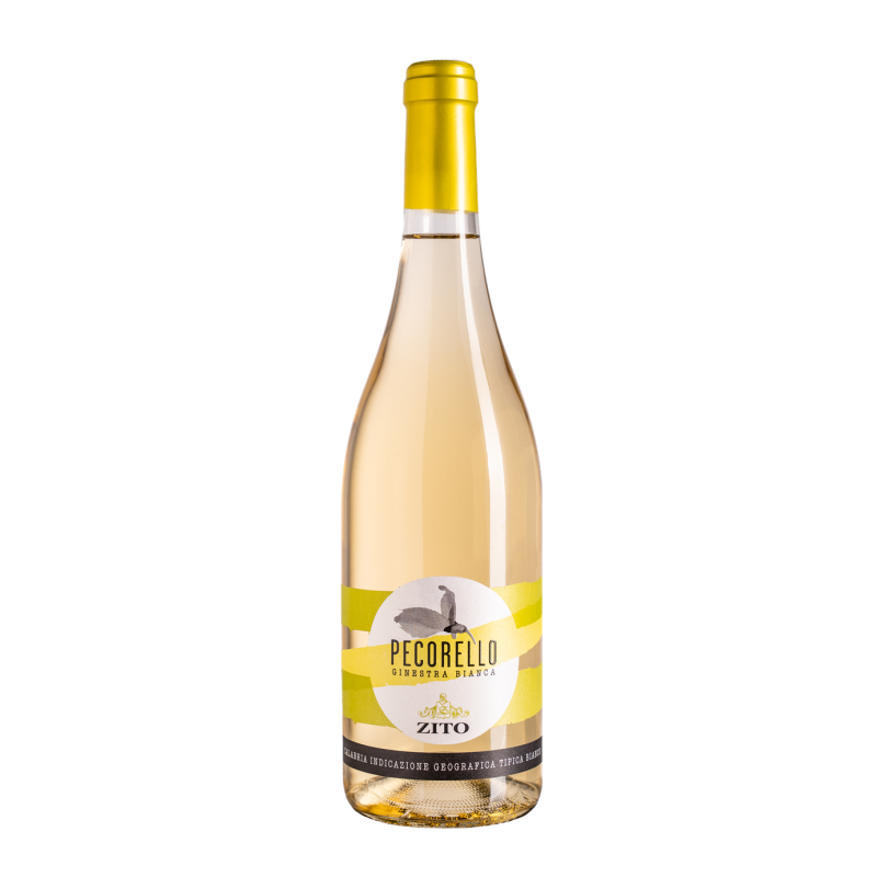 White wine pecorello ginestra white igt zito