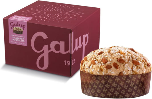 PANETTONE AMARENE E CIOCCOLATO GALUP 750 GR IN SCATOLA  - GALUP