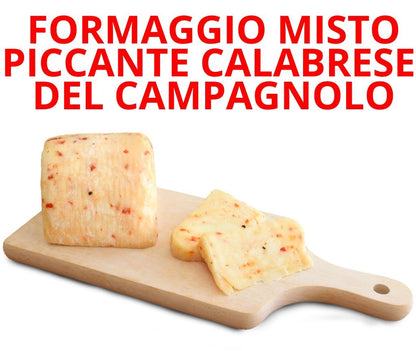 Calabrian spicy mixed cheese of the Campagnolo - Fattoria della Piana - 280 gr ca