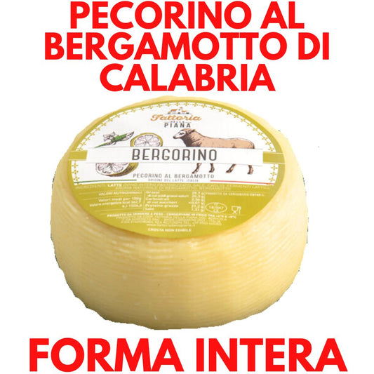 Formaggio pecorino semistagionato Bergorino - Fattoria della Piana - 800 gr ca