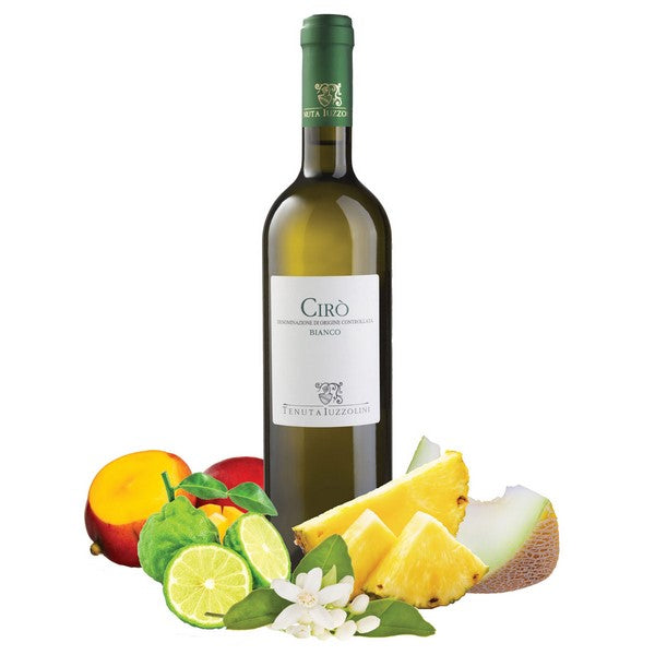 White wine - Mother drop - white IGT Calabria - Tenuta iuzzolini - 75cl